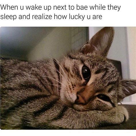 cute flirty memes|62 of the Best Flirty Memes To Send To Your Special Someone